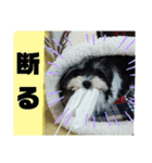 MIX犬ララさんの日常②（個別スタンプ：5）