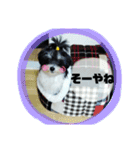 MIX犬ララさんの日常②（個別スタンプ：6）