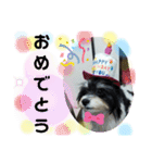 MIX犬ララさんの日常②（個別スタンプ：7）