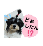 MIX犬ララさんの日常②（個別スタンプ：9）