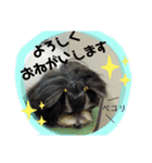 MIX犬ララさんの日常②（個別スタンプ：10）