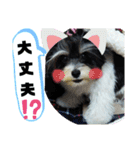 MIX犬ララさんの日常②（個別スタンプ：18）