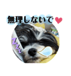 MIX犬ララさんの日常②（個別スタンプ：19）