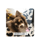 佐藤リク（個別スタンプ：2）