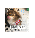 佐藤リク（個別スタンプ：5）
