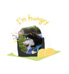 うちのーあいけん（個別スタンプ：5）