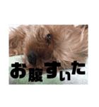 しゅー！（個別スタンプ：3）