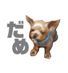 しゅー！（個別スタンプ：6）