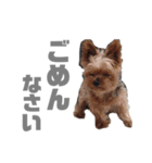 しゅー！（個別スタンプ：8）