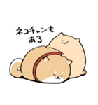 にわねこヤング（個別スタンプ：10）