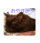 ピース＆モフ（個別スタンプ：7）