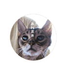 cat0032 vol. 1（個別スタンプ：12）