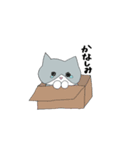 たんたんのイラスト（個別スタンプ：12）