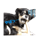 ゆめタン（個別スタンプ：5）