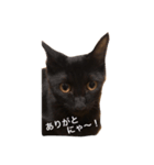 黒猫のゴマちゃん（個別スタンプ：7）
