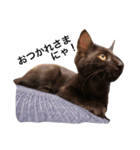 黒猫のゴマちゃん（個別スタンプ：8）