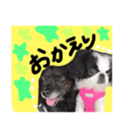 はなちんずスタンプ（個別スタンプ：6）