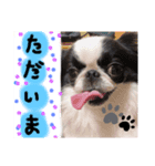 はなちんずスタンプ（個別スタンプ：7）