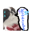 はなちんずスタンプ（個別スタンプ：8）