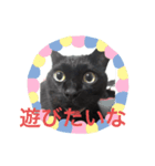 わたしの黒猫スタンプ（個別スタンプ：2）