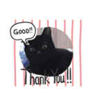 わたしの黒猫スタンプ（個別スタンプ：5）