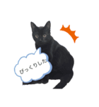 わたしの黒猫スタンプ（個別スタンプ：6）