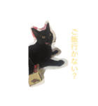 わたしの黒猫スタンプ（個別スタンプ：7）