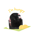 わたしの黒猫スタンプ（個別スタンプ：8）