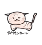 君の生活をサポートしてくれる猫！（個別スタンプ：15）
