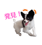 りんちゃんだよ～5（個別スタンプ：2）