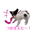 りんちゃんだよ～5（個別スタンプ：3）