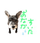 空と海と陸と風太（個別スタンプ：3）
