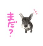 空と海と陸と風太（個別スタンプ：4）