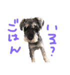 空と海と陸と風太（個別スタンプ：5）