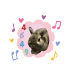 我らのアイドルanimals（個別スタンプ：1）