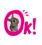 我らのアイドルanimals（個別スタンプ：2）