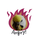 我らのアイドルanimals（個別スタンプ：5）