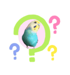 我らのアイドルanimals（個別スタンプ：6）
