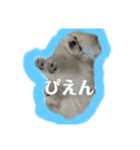 ろいくんの生活（個別スタンプ：5）