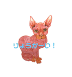けのないねこのスタンプ3（個別スタンプ：4）
