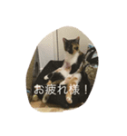 つぼみスタンプ2（個別スタンプ：4）