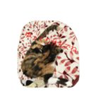 つぼみスタンプ2（個別スタンプ：5）