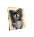 愛犬たち(^.^)（個別スタンプ：5）