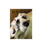 立花ムック（個別スタンプ：5）