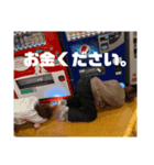 とりま荘（個別スタンプ：6）