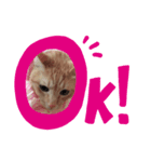 みるくる（個別スタンプ：1）