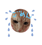 みるくる（個別スタンプ：6）