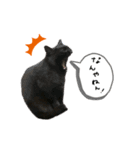 ぷりんと、ねこのおしり（個別スタンプ：7）