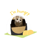mirumo＆kukuru（個別スタンプ：4）