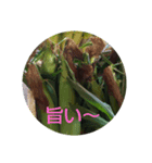 とれたす。（個別スタンプ：2）